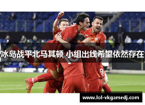 冰岛战平北马其顿 小组出线希望依然存在