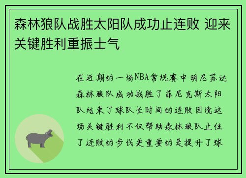 森林狼队战胜太阳队成功止连败 迎来关键胜利重振士气