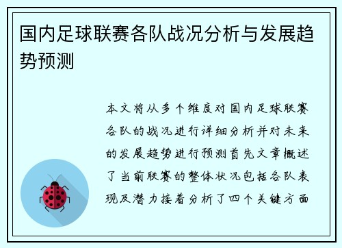 国内足球联赛各队战况分析与发展趋势预测