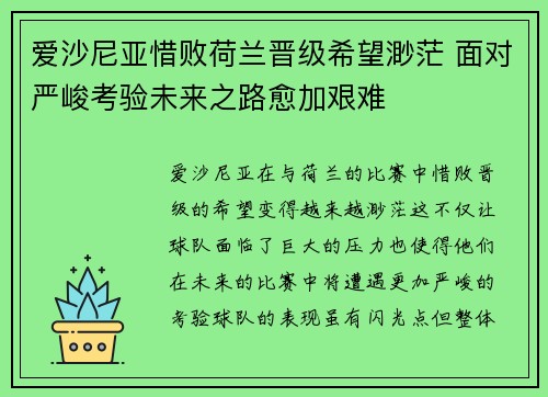 爱沙尼亚惜败荷兰晋级希望渺茫 面对严峻考验未来之路愈加艰难