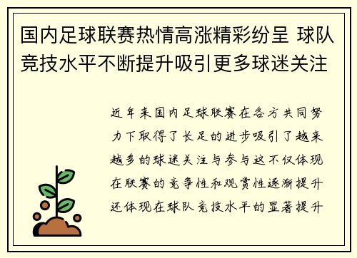 国内足球联赛热情高涨精彩纷呈 球队竞技水平不断提升吸引更多球迷关注