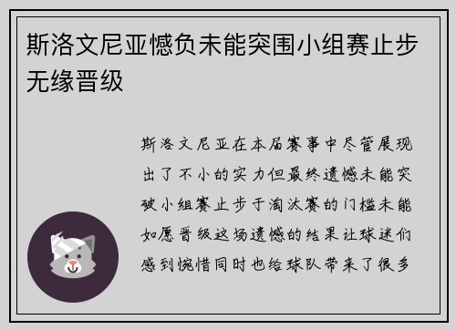 斯洛文尼亚憾负未能突围小组赛止步无缘晋级